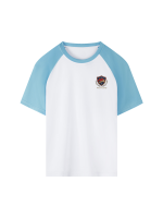 Contrast Raglan Sleeve Mesh T-Shirt - Image 3